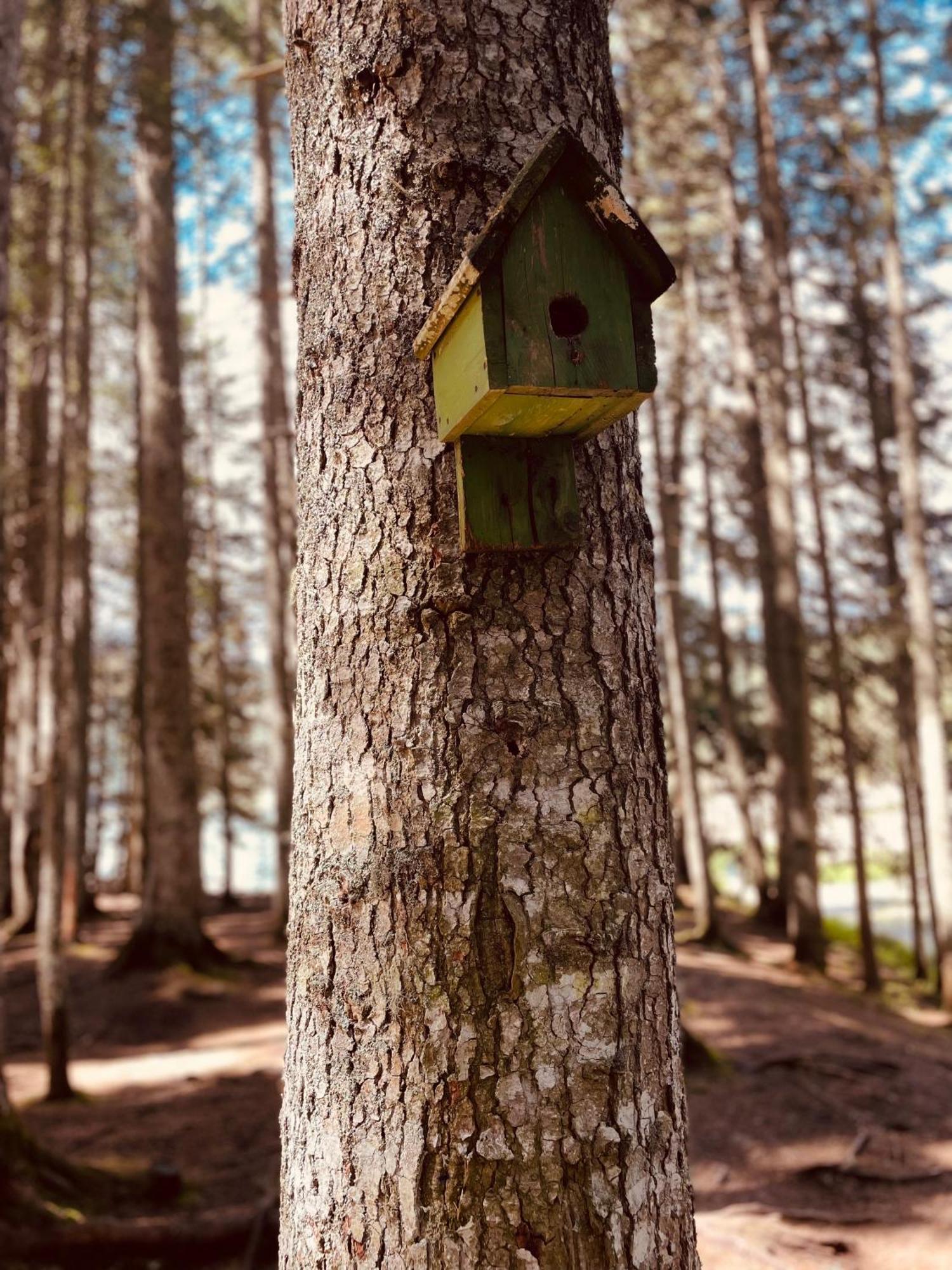 Guest House Lena Žabljak Kültér fotó